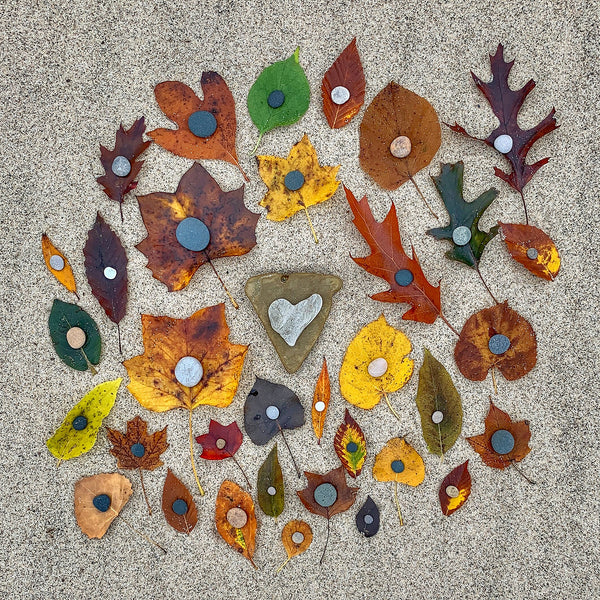Leaves and Pebbles on the Sand