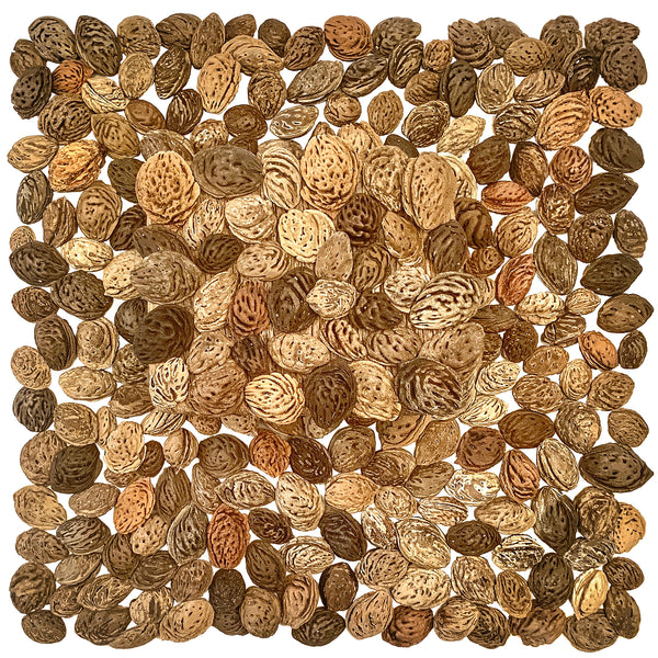 Peach Pit Pile